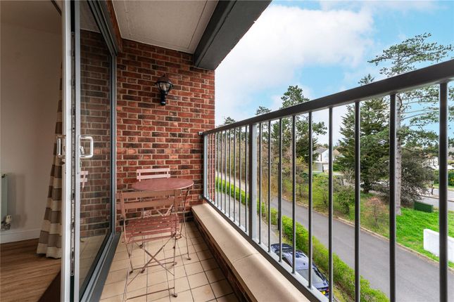 8, Consort Avenue, Cambridge photo 4