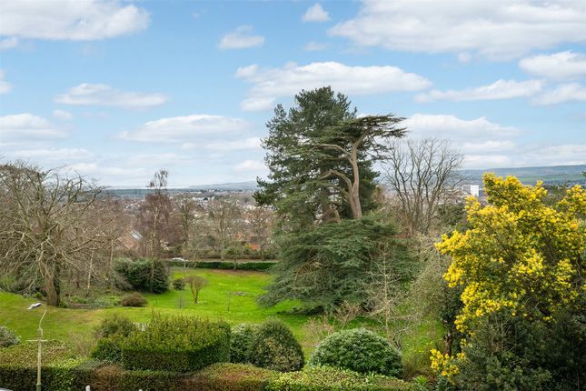 Views And Grounds