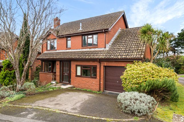 Thumbnail Detached house for sale in Lark Close, Exeter