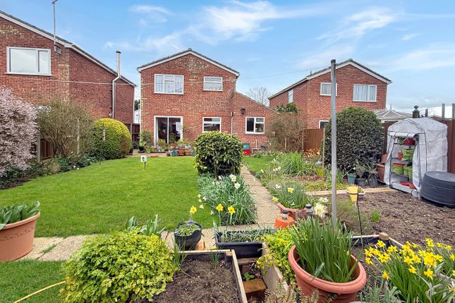 42, Lucerne Road, Colchester photo 2