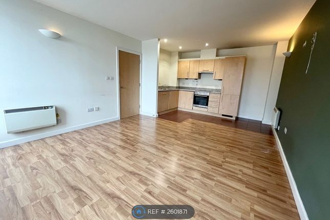 Kitchen / Living Area