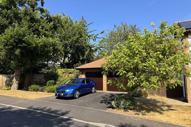 1, Shepherd Drive, Newport photo 4
