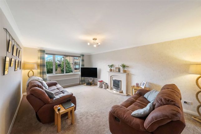 21, Edenside, Glasgow photo 3
