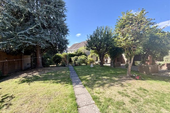 Green Hollow, 20, Stonehill, Hanham photo 2