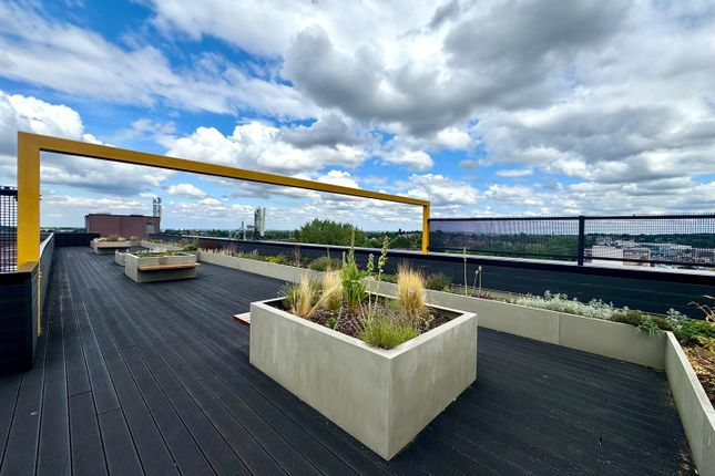 Roof Terrace.Jpeg