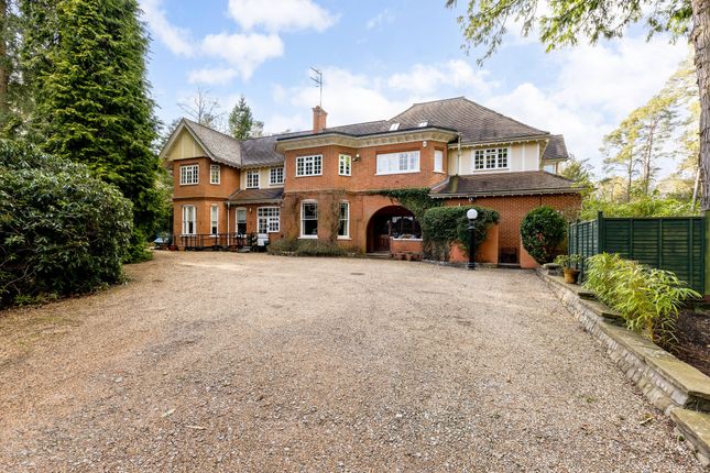 3 Woodlands, Pirbright Road, Normandy photo 3