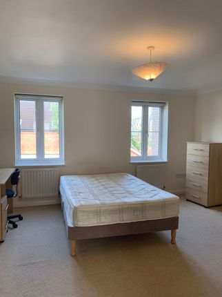 Property to rent in Watson Place, Exeter