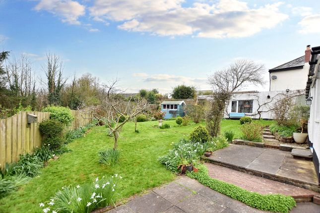 Detached house for sale in The Green, Bridgerule, Holsworthy
