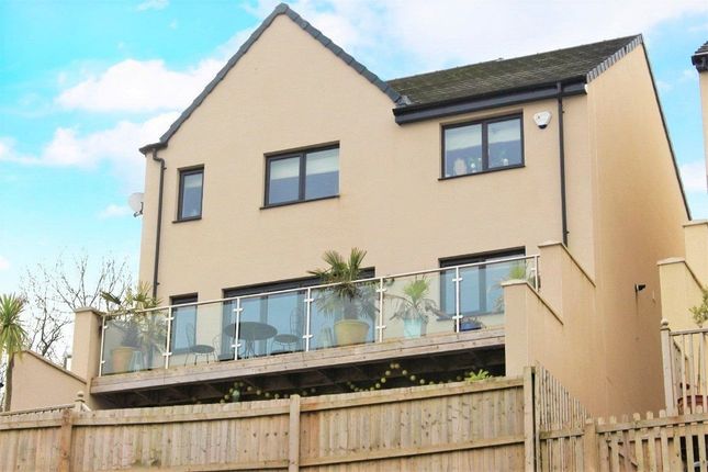 Detached house for sale in Palm Tree View, Goodrington, Paignton