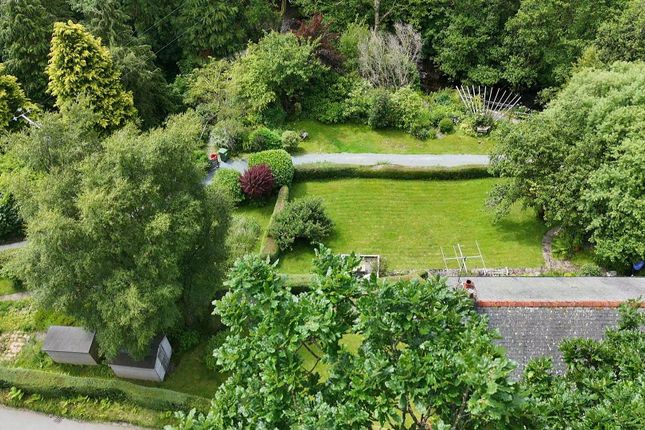 Aerial View Of The Garden