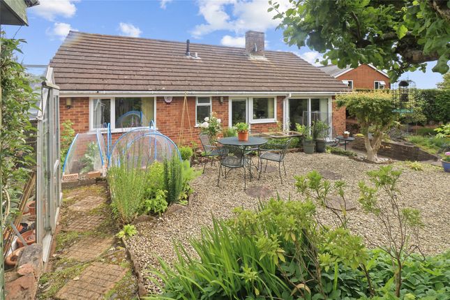 Chandos Wood Street, Milverton Taunton Somerset, Taunton photo 4