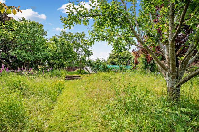 Meadow Garden