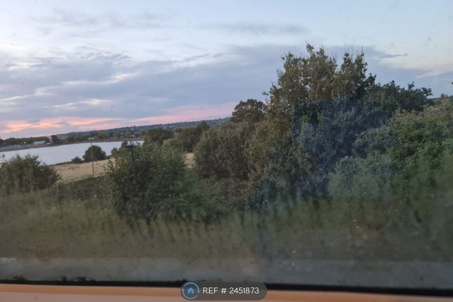 Window View