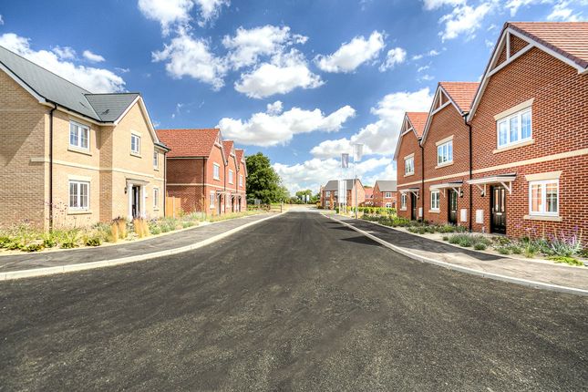 Plot 124, The Aster, Chattowood, Elmstead Market photo 3