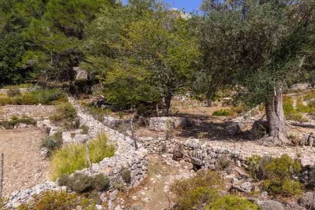 Detached house for sale in Pollença, Pollença, Mallorca