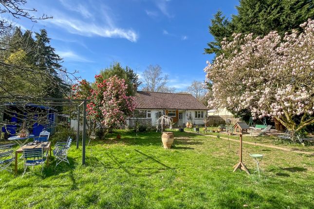 White Oaks, Moat Lane, Sedlescombe photo 3