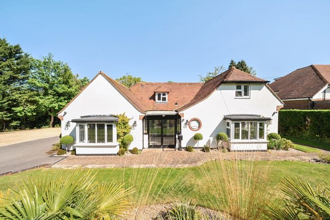Bungalows To Rent In England Houses To Let PrimeLocation bungalows-to-rent-in-england-houses-to-let-primelocation