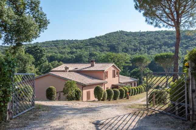 Country house for sale in Strada Provinciale 21 Terzo, Roccastrada, Toscana
