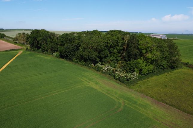 Dji_0642