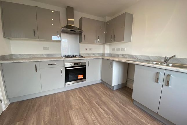 Thumbnail Property to rent in Honey Lane, Warwick