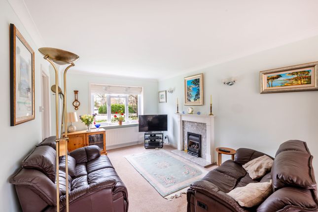 3 St. Lawrence Way, Caterham photo 3
