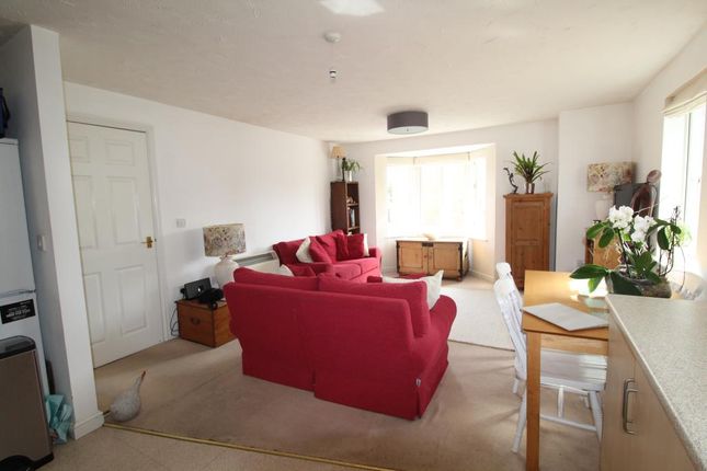 Jubilee Green, Cambridge, Papworth Everard photo 2