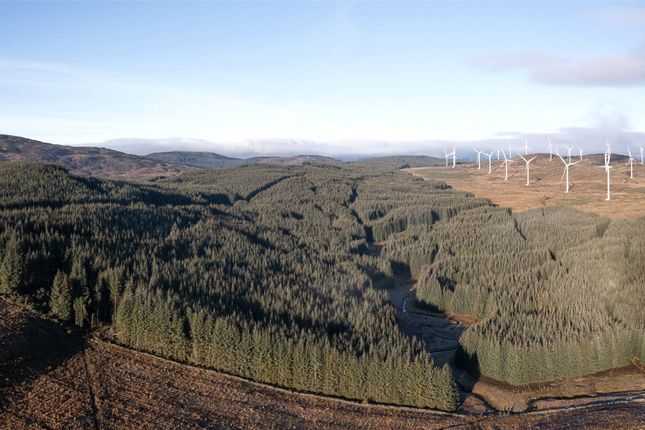 Land for sale in Forestry &amp; Renewables Portfolio, Aberfeldy, Perthshire