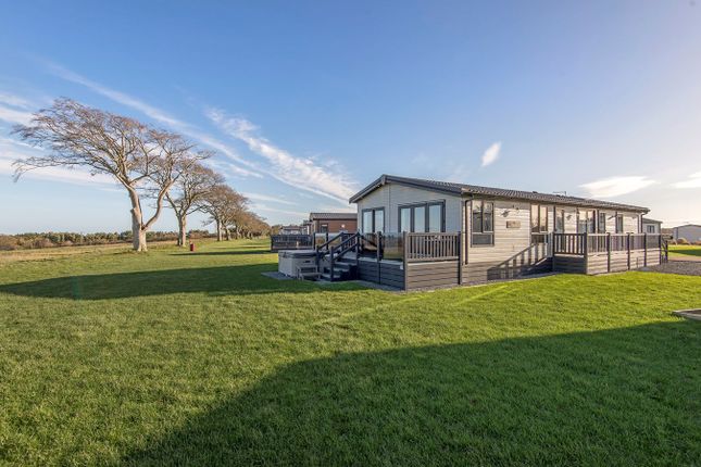 Thumbnail Mobile/park home for sale in The Saltire Lodge, Cameron, St Andrews