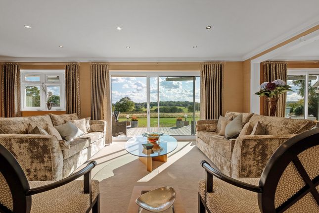 262, The Ridgeway, Botany Bay, Enfield photo 3