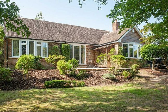 Image of Fairbank, Limes Lane, Buxted, Uckfield, TN22 4PA