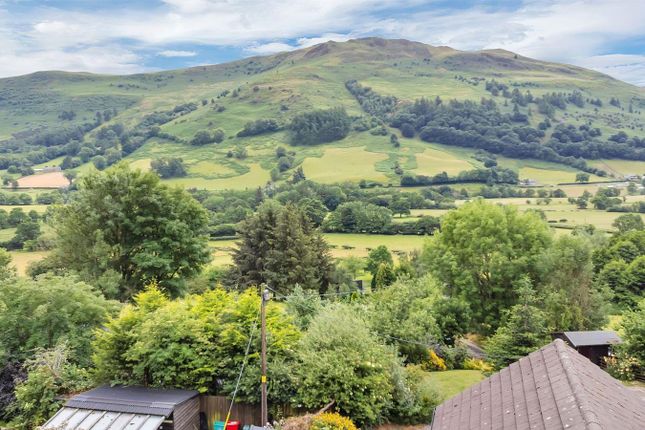 Cottage for sale in Llangynog, Oswestry