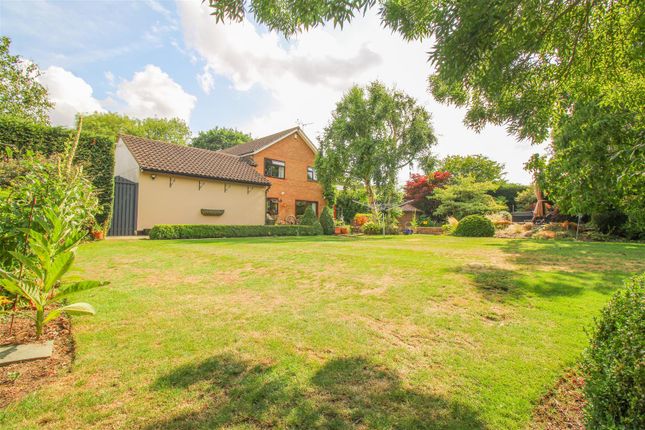 The Paddocks, Commonside Road, Harlow photo 3
