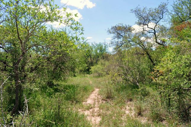 Land for sale in 118 Moria, 118 Kierrieklapper, Moditlo Nature Reserve, Hoedspruit, Limpopo Province, South Africa