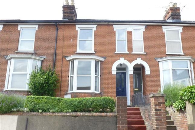 Thumbnail Terraced house to rent in Woodbridge Road, Ipswich