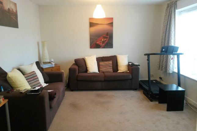 Lampits, Hoddesdon EN11, Hoddesdon photo 2