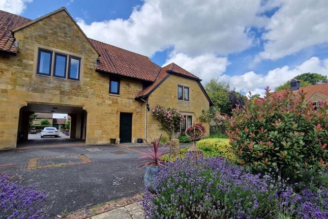 Thumbnail Property for sale in Hayes End Manor, South Petherton