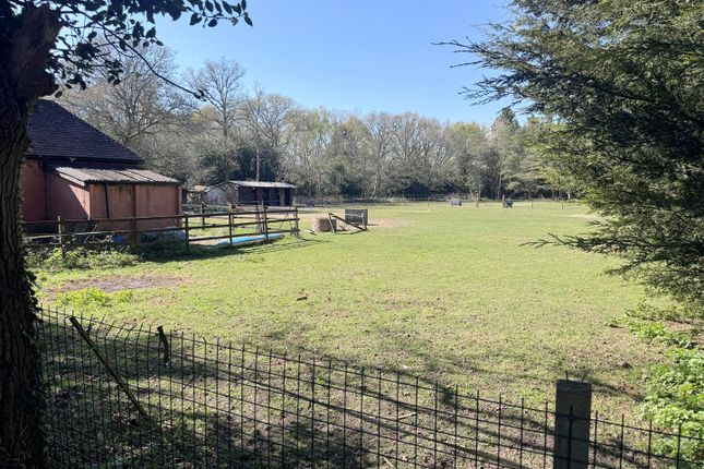 Paddocks.Jpg