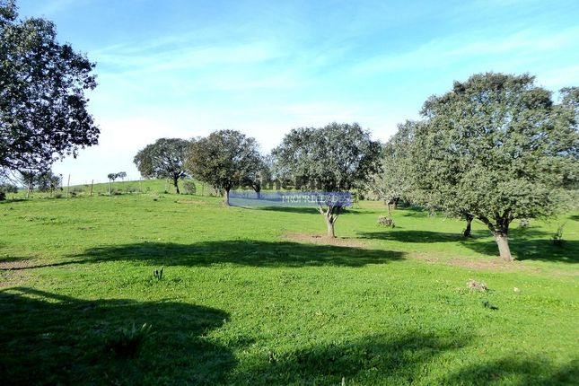 Farm for sale in 241Ha Agricultural Property With Dams, Portugal