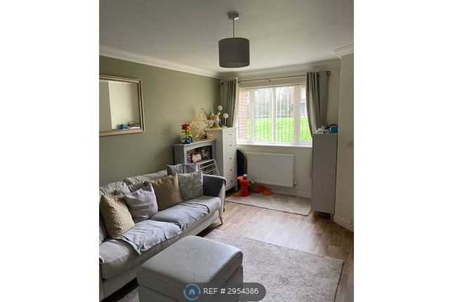 Ash Close, Littlehampton photo 4