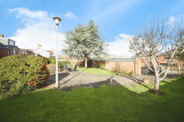 33, Wilton Street, Taunton photo 4