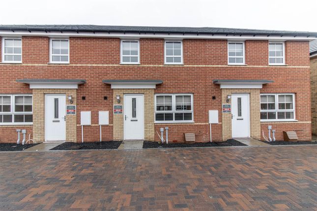 Thumbnail Terraced house to rent in Clematis Court, West Meadows, Cramlington