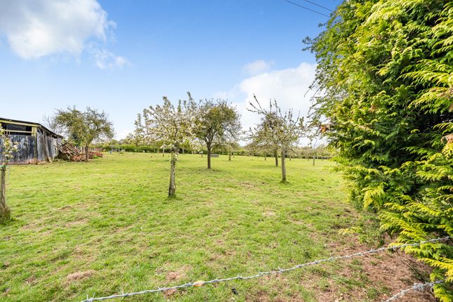 Cottage for sale in Rochford, Tenbury Wells