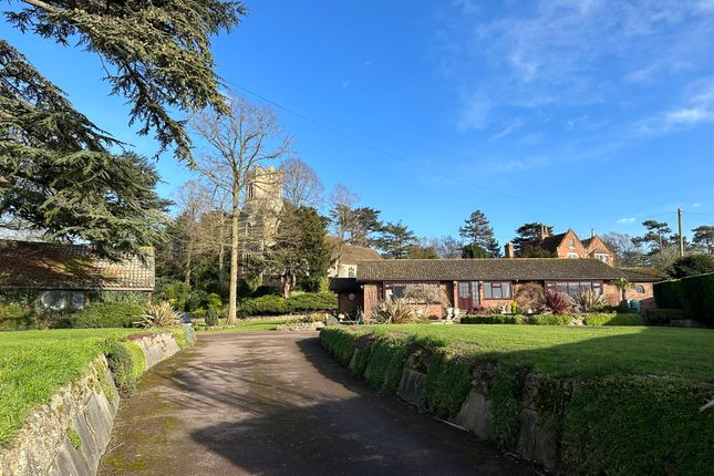 Thumbnail Bungalow for sale in The Street, Easton