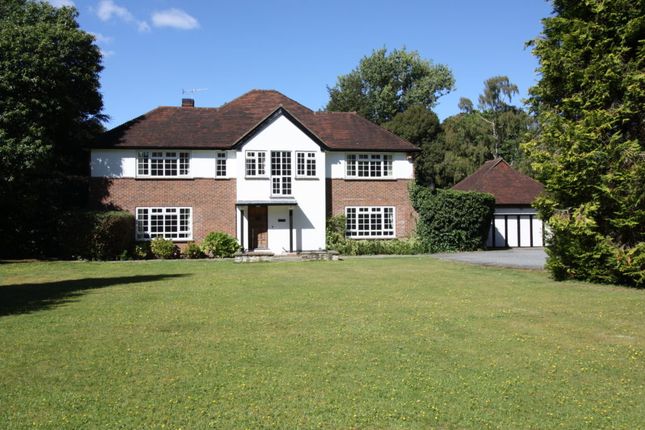 Detached house to rent in The Drive, Wonersh Park, Wonersh, Surrey