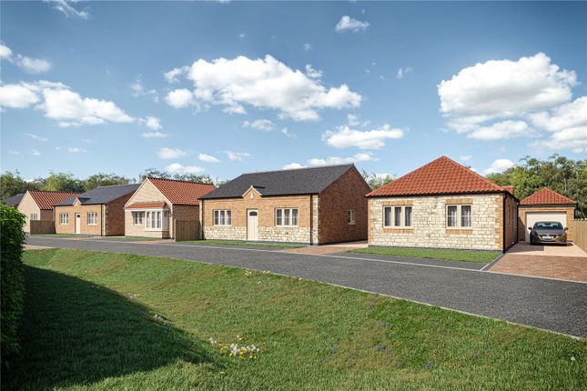 Plot 37,, Plot 37 - Hawthorn Meadows, Lincoln photo 2