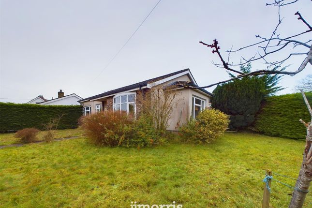 Detached bungalow for sale in Gelliwen, Llechryd, Cardigan SA43