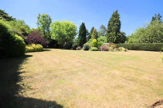 View Of Rear Gardens