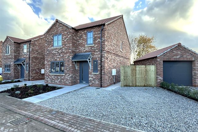 Image00008 Light.Jpeg