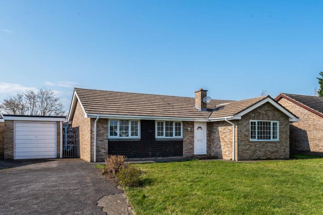 Thumbnail Detached bungalow to rent in Begbroke, Oxfordshire