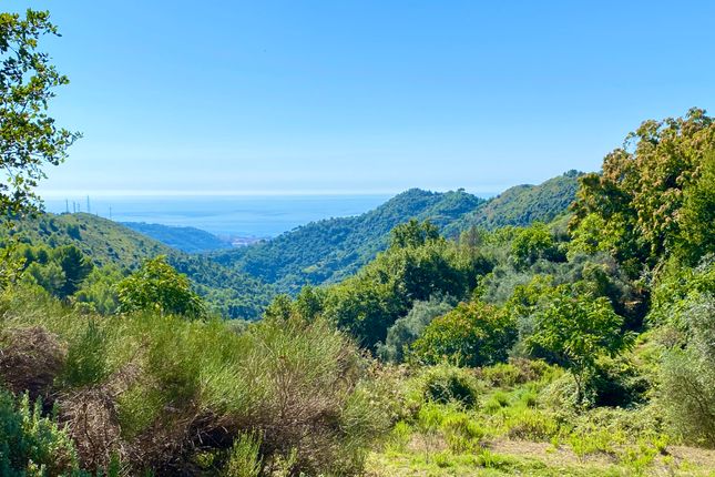 Thumbnail Land for sale in Regione Ciaixe, Camporosso, Imperia, Liguria, Italy